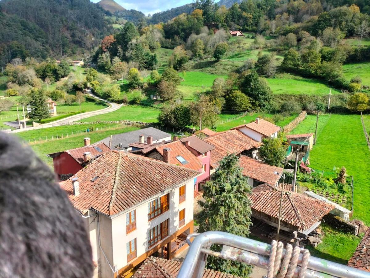La Villa La Casita De Olivia Espinaredoヴィラ エクステリア 写真
