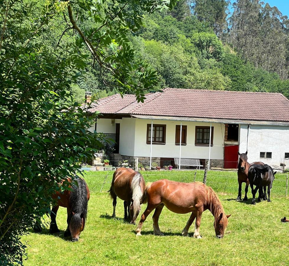 La Villa La Casita De Olivia Espinaredoヴィラ エクステリア 写真