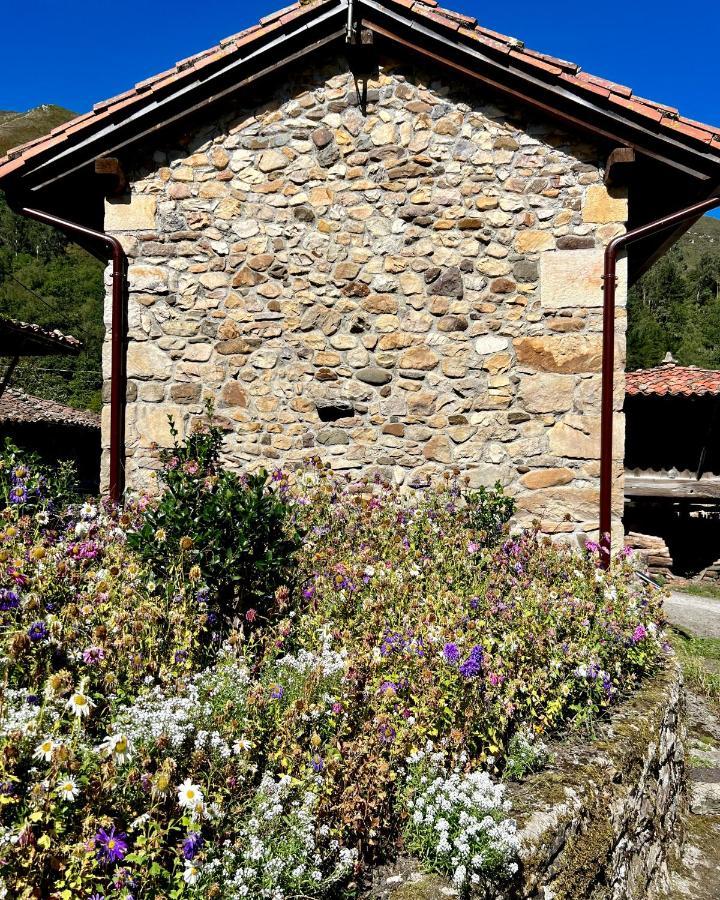 La Villa La Casita De Olivia Espinaredoヴィラ エクステリア 写真